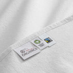 Organic Flannel Sheet Set