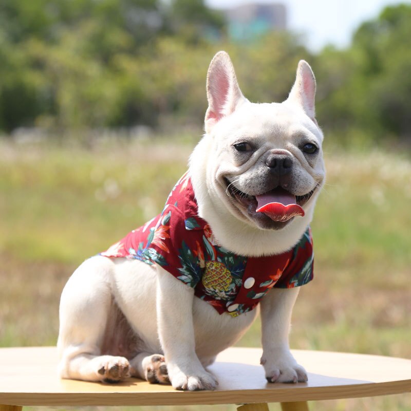Hawaiian Pet Shirts